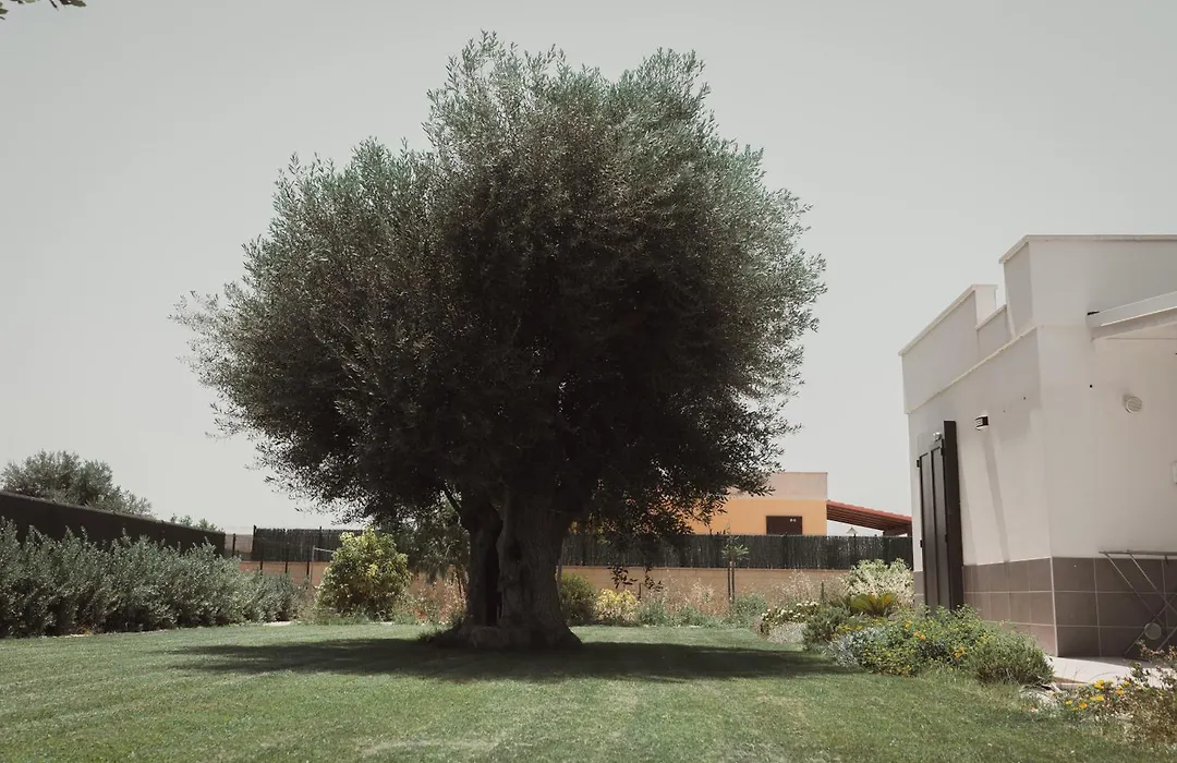 Masseria Gravame-1